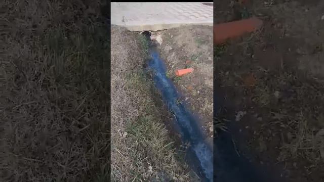 Грунтовые воды. Часть 2. Осторожнее с выбором участка! смотреть онлайн