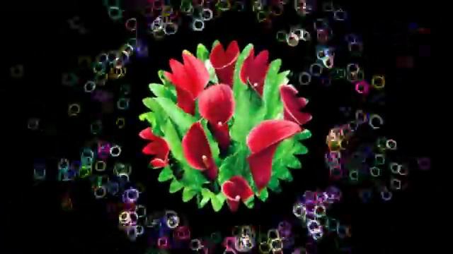 Я готов целовать песок по смотреть онлайн