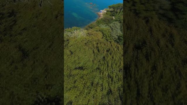 The DJI FPV Drone Is Actually A Great Drone! ?