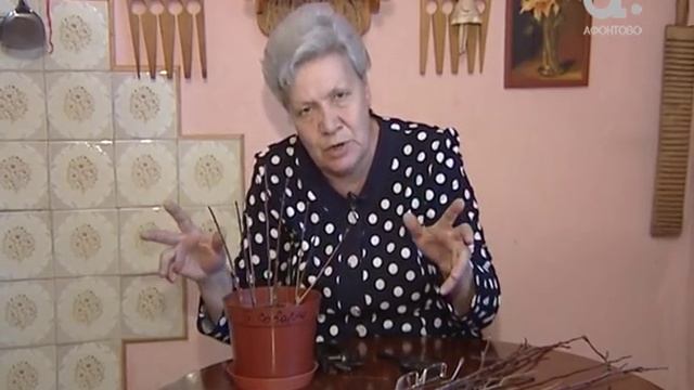 Как обрезать гортензию. Голова садовая смотреть онлайн