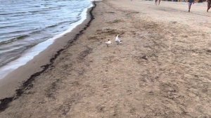 Юрмала, Балтийское море, 🇱🇻Рижский залив🏖 05/07/2022/ Baltic Sea, Jurmala🌞