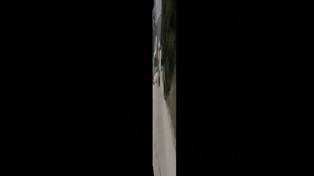 FABIA vs. FELICIA смотреть онлайн