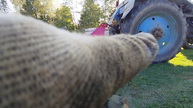 1000362630.mp4 смотреть онлайн
