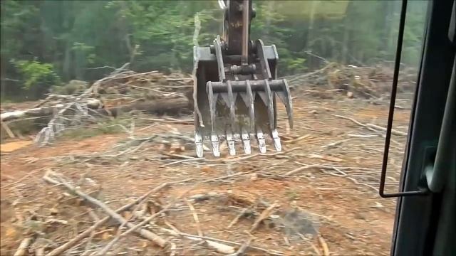 Raking And Burning Brush