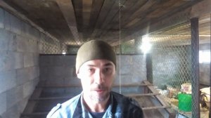 Рыбий жир для кур-несушек!