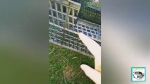 Раколовка своими руками из ящика