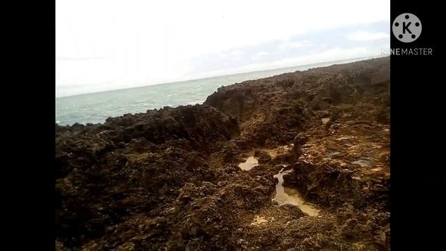 secret about turtle bay / bad weather смотреть онлайн