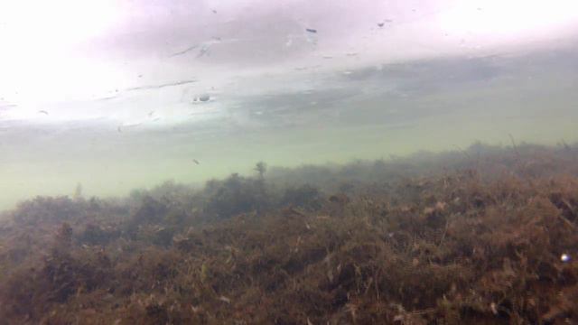 Первый лед Жерлицы 22 23гг Подледные сьемки смотреть онлайн