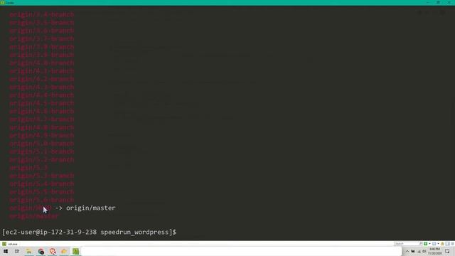 How to Speedrun Deploy Wordpress 5 with ec2 Linux 2 and RDS within 11mins смотреть онлайн