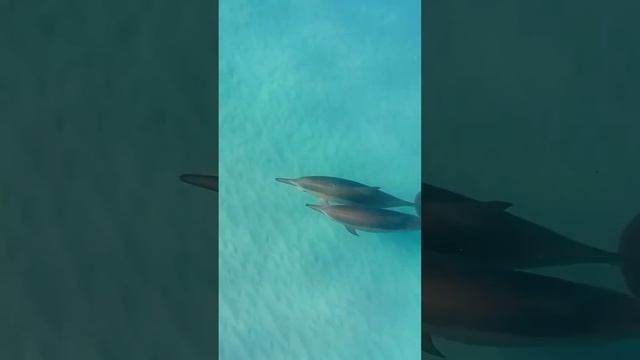 Лера Астрооберег, делает прогноз на 1 мая. Смотреть сейчас! смотреть онлайн