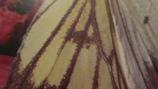 Как сделать декольте?How to make the neckline? смотреть онлайн