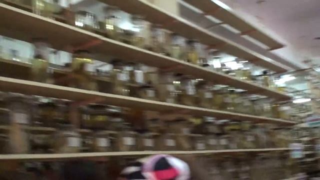 Музей Океанографии Нячанга смотреть онлайн