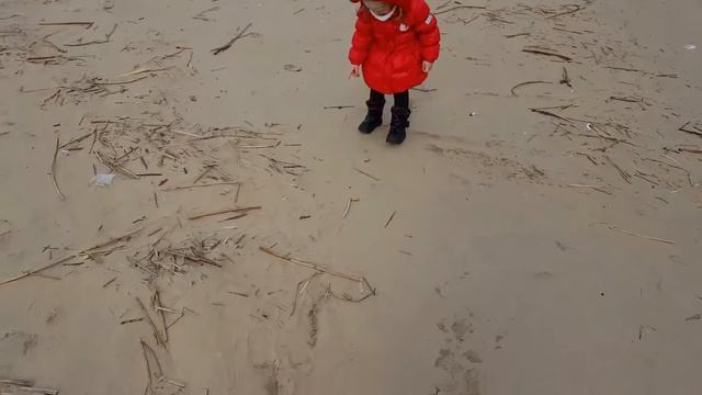 VLOG : Гуляем! ФИНСКИЙ залив! ПЛЯЖ! Прогулка! Сестрорецкий Курорт! ПИТЕР! | Златуня смотреть онлайн