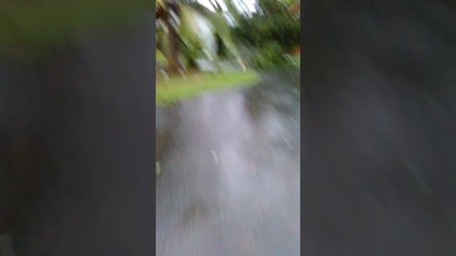 Huracan Irma 3 chef jose torres смотреть онлайн