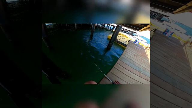 Рыбалка в Сридеземном море.Рыба клюёт как бешанная. смотреть онлайн