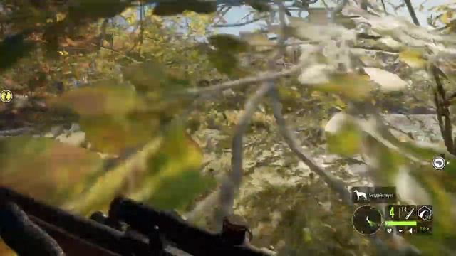 TheHunter: Call Of The Wild - сфотографировать европейскую лань на фоне Кенигсбергского озера