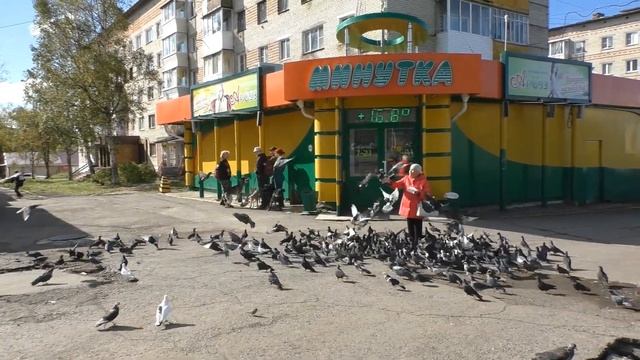 Советская Гавань 25 26 сентября 2022 г смотреть онлайн