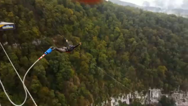 BUNGY207 (1) смотреть онлайн