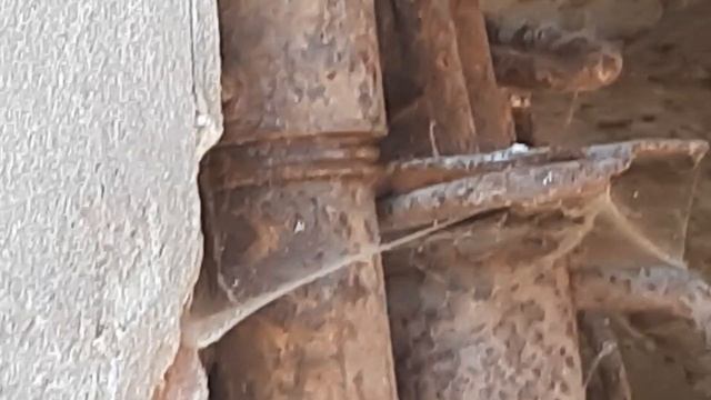 ЖижевыеМозги или ещё  какие жуткости, но вид у всего этого не из приятных.Все вРаботе по разрушению