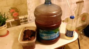 рецепт вина из тёрна