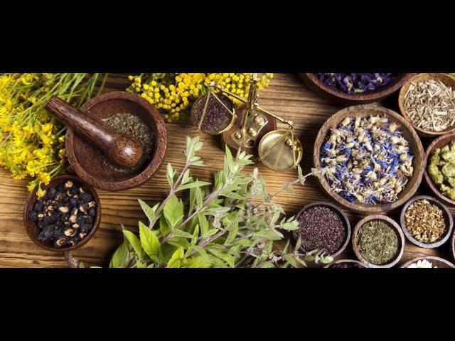 Лечись Правильно !