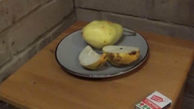 груша мария дегустация то что растет в сибири смотреть онлайн