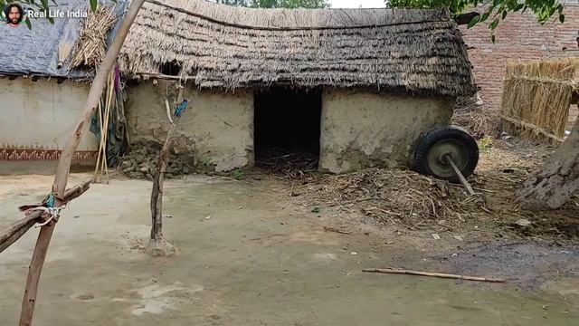 Traditional Life Style In Village ~ RURAL INDIA UTTAR PRADESH ~ Real Life India