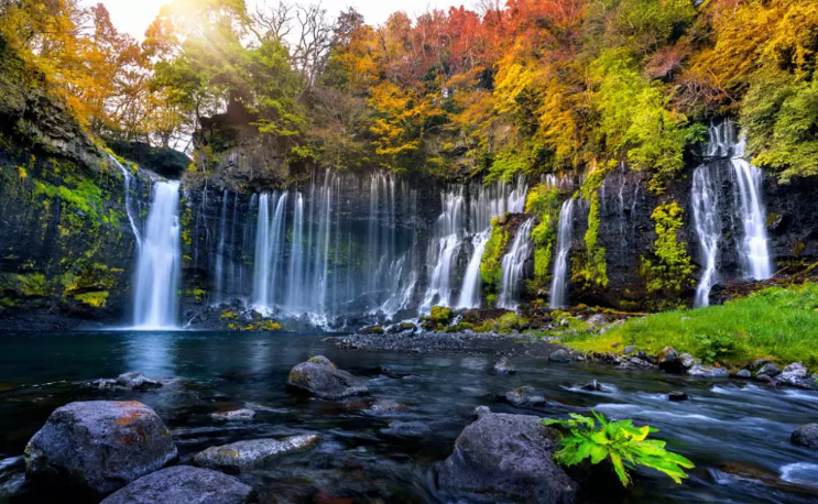 Лесной водопад. Звуки природы - Миниатюрные каскады ✦ Звуки леса и пение птиц ✦ Relax Sleep смотреть онлайн