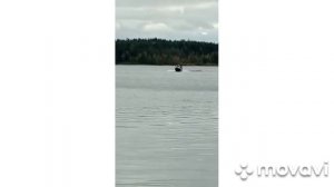 Моторная лодка ALUTON 390 Fish с мотором mercury 9.9л.с.