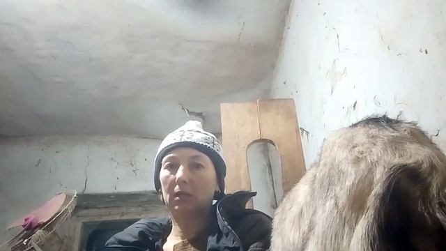 #Коза#себя#выдаивает #сосётСвоёМолоко Причины и следствия. Что делать? смотреть онлайн
