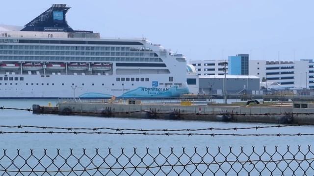 Driving To Empty Popular Orlando Locations | MCO | Port Canaveral | Cocoa Beach | Gideon's & More! смотреть онлайн