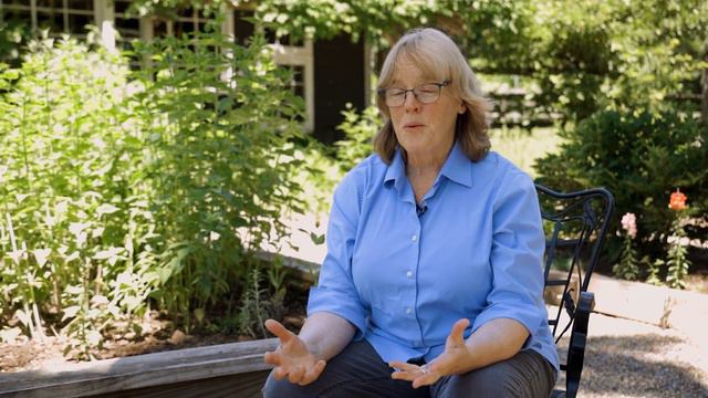 What's next for New Jersey's forests? смотреть онлайн