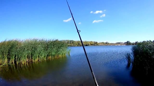 Вперёд за трофейной щукой ))) Хорватское яйцо,первый опыт ловли смотреть онлайн