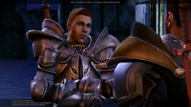 Sten gives away his cookies [Dragon Age: Origins] смотреть онлайн