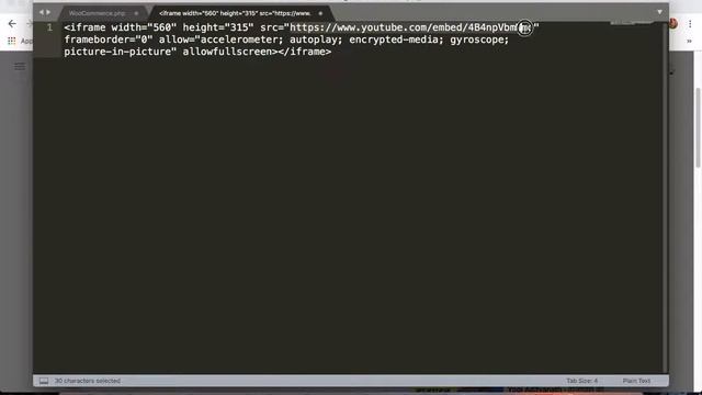 How To Add YouTube Video In a custom tab on WooCommerce Product page смотреть онлайн