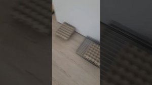 Закладка яиц в инкубатор Блиц- База 630