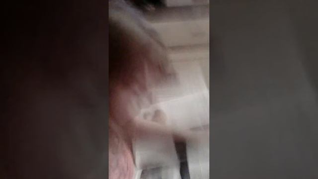 Секреты природы, борсук или бобёр смотреть онлайн