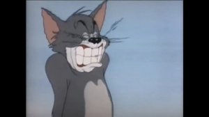 Tom Screaming Compilation