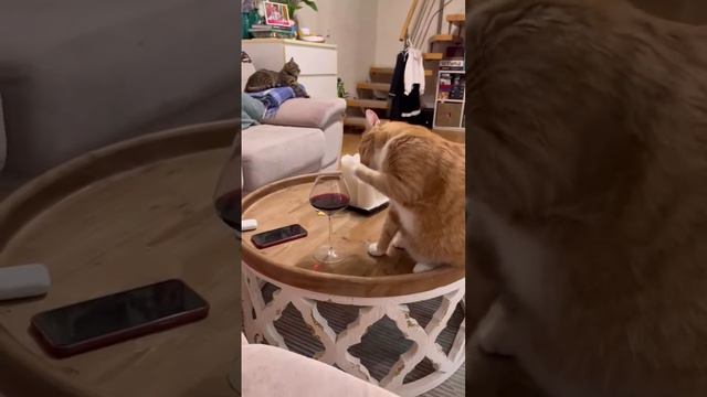 Пятница смотреть онлайн