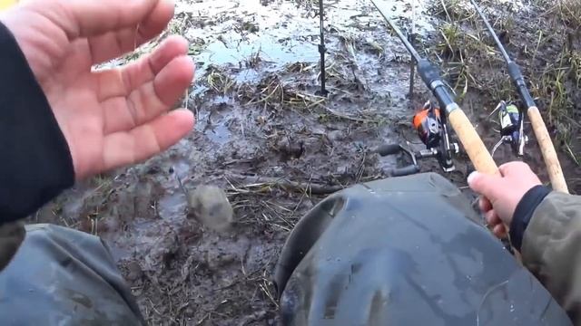 Фидерная рыбалка.Карась в мае. Рыбалка на пикер. Флэт-фидер.Обводной канал. смотреть онлайн