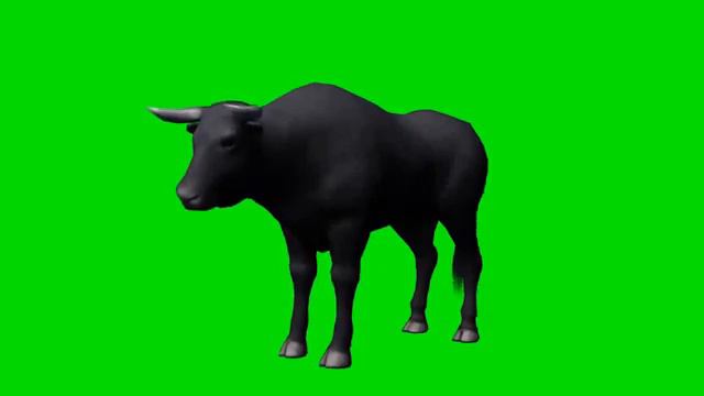 Кот (или комар)