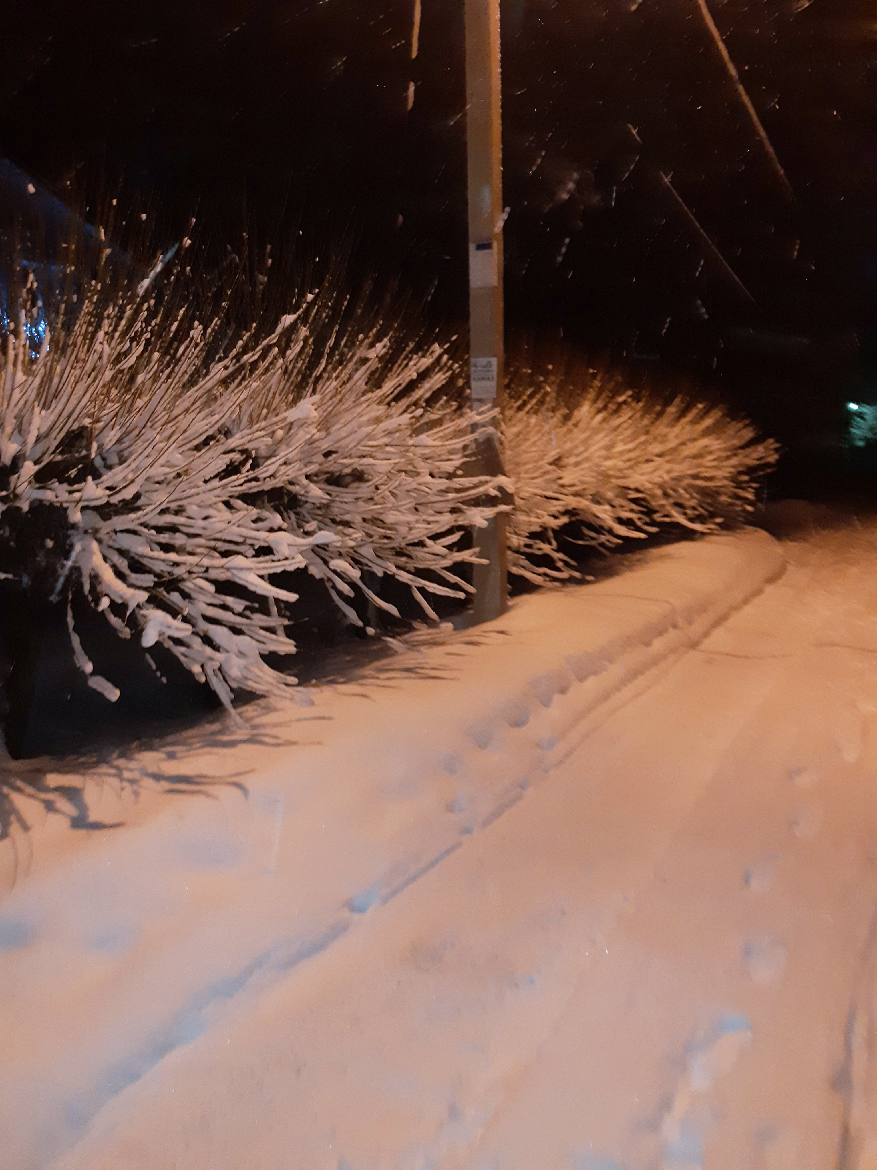 Россия зимняя страна