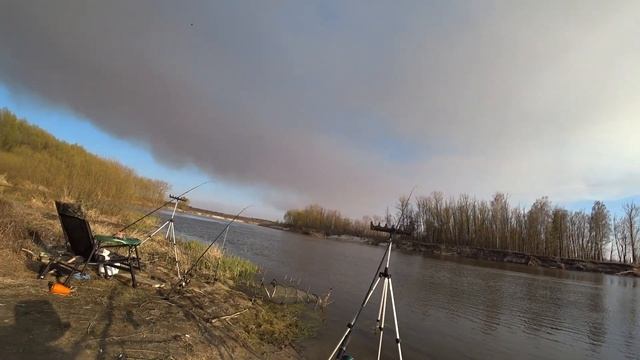 Весенняя рыбалка 2020, поймали 7 видов рыбы, уха... смотреть онлайн