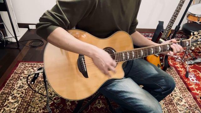 THE REAL FOLK BLUES COWBOY BEBOP (cover) 弾き語り смотреть онлайн