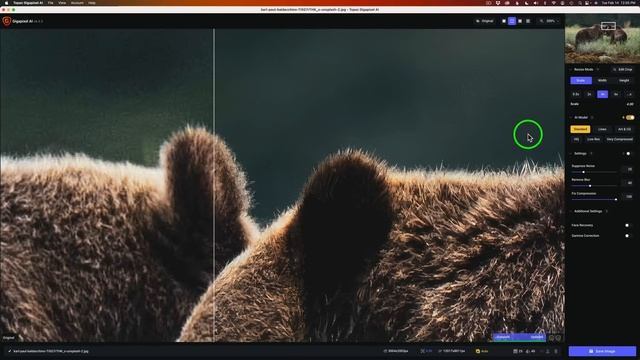 Comparing Results: TOPAZ GIGAPIXEL AI'S Latest Update vs TOPAZ PHOTO AI смотреть онлайн