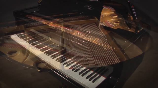 Young Chang G-150 4'11" Baby Grand Piano (G113966) смотреть онлайн