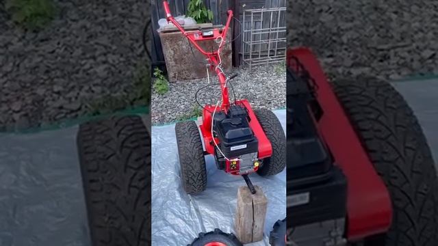 video 2023 07 08 22 19 44 смотреть онлайн