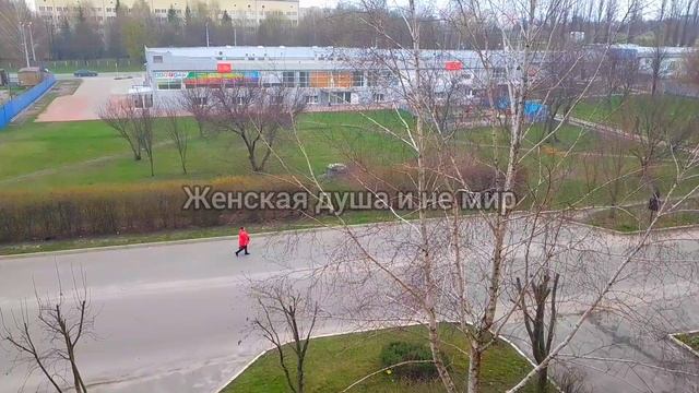 Куда делся Самвел Адамян