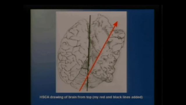 Fraudulent Study No. 11 by John Orr and Larry Schnapf смотреть онлайн