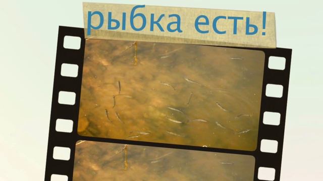 Любутское городище смотреть онлайн